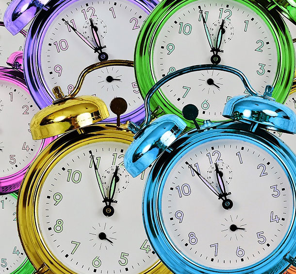 Elisabeth von Thadden Schule